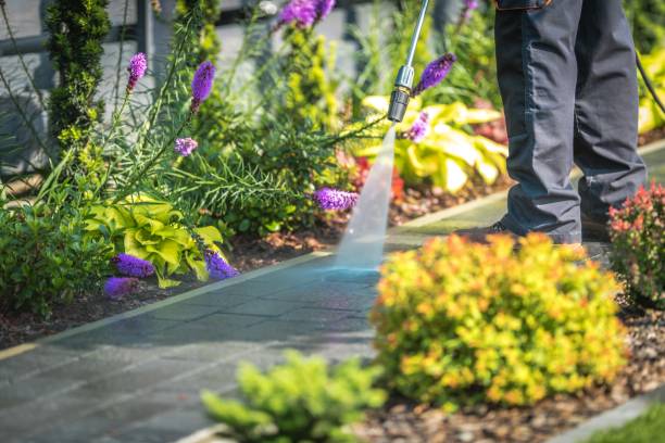 Professional Pressure Washing Services in Lawrenceville, VA